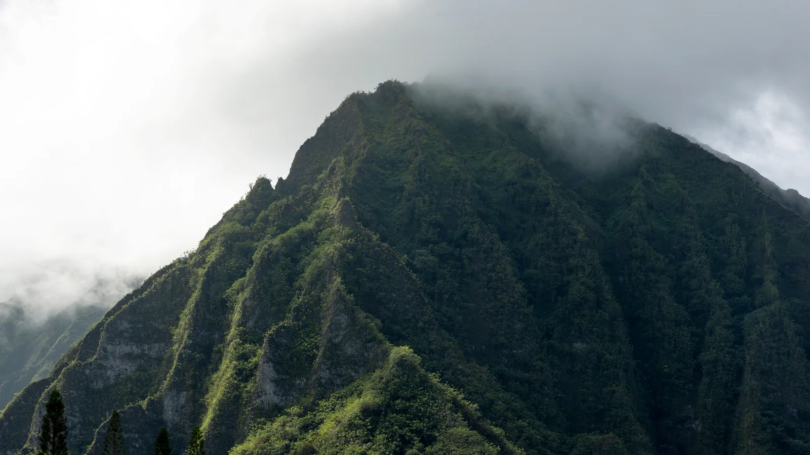 Progress Every Step Of The Way