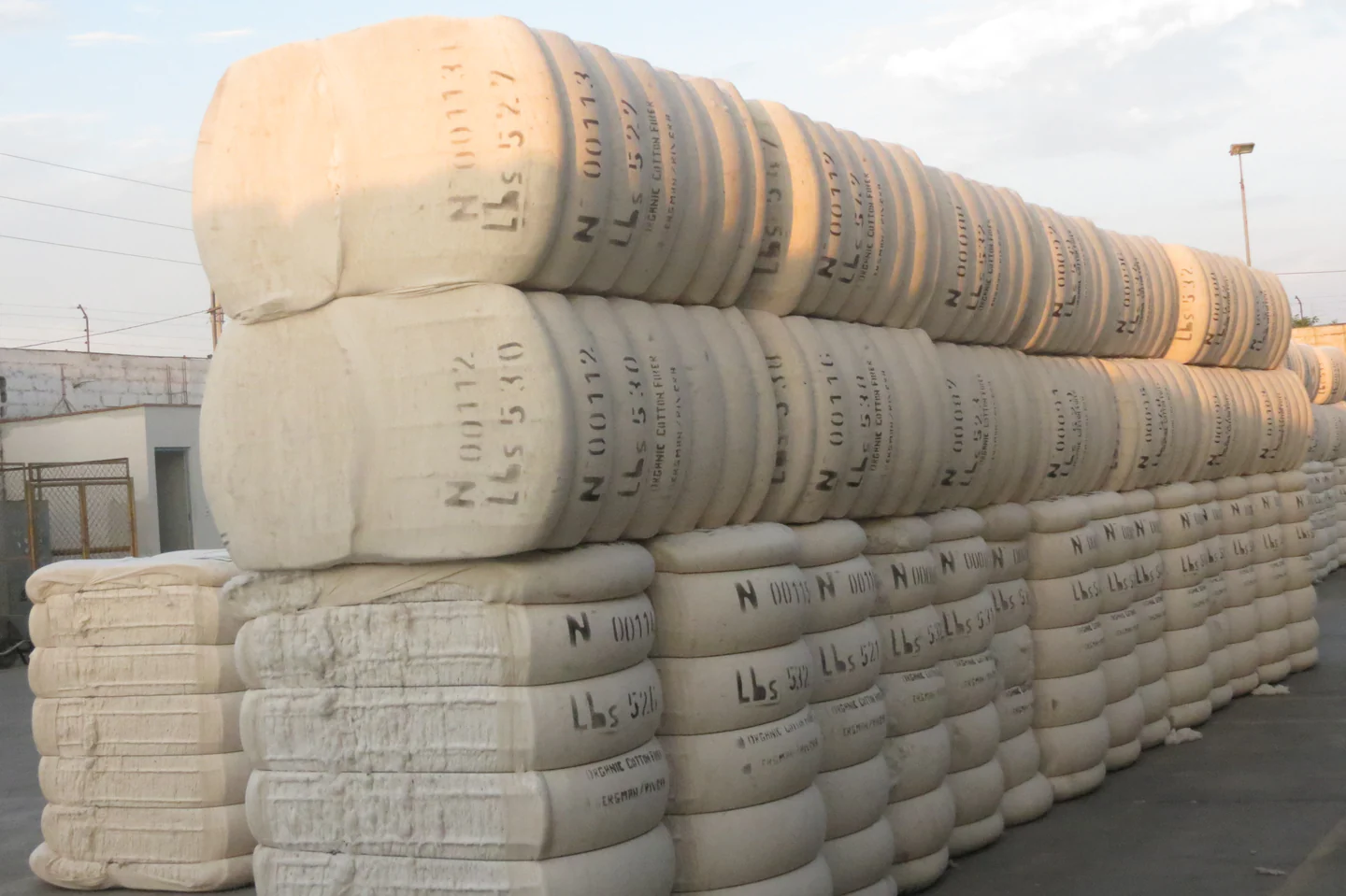 Garment factory workers