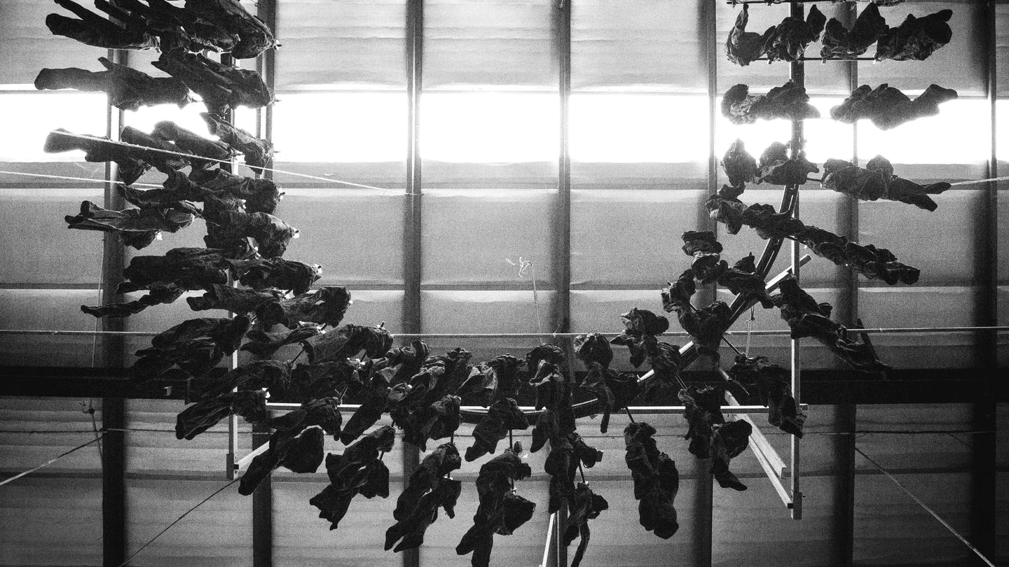 Partners in Sustainability